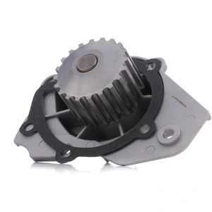 Pompe à eau RIDEX 1260W0198 pas cher