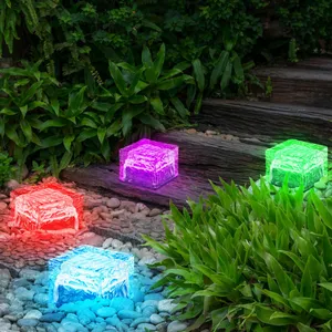 Décoration de jardin Lampe solaire LED RVB avec lampe de jardin à coul...