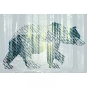 Architects Paper BEAR FOREST pas cher