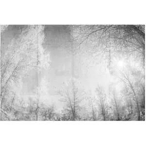 Comparateur de prix : Architects Paper FOREST GLADE