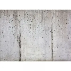 A.S. CREATIONS Architects Paper CONCRETE WALLVendu pararchiproducts