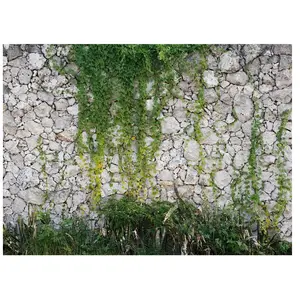 A.S. CREATIONS Architects Paper STONE WALLVendu pararchiproducts