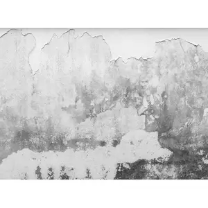 A.S. CREATIONS Architects Paper BRITTLE WALL pas cher
