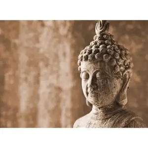 Lutèce Décor mural intissé Design walls asian culture - 5 lésVendu pararchiproducts