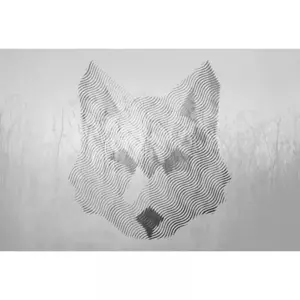 Comparateur de prix : Architects Paper FOX GRAPHIC