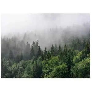 Architects Paper FOGGY FIR TREESVendu pararchiproducts