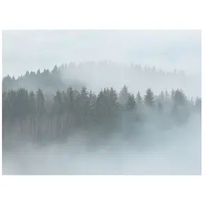 Architects Paper MISTY FOREST pas cher
