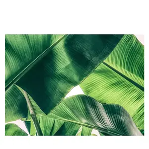 Architects Paper BROKEN LEAFVendu pararchiproducts