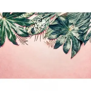 Architects Paper LEAVES VARIETYVendu pararchiproducts