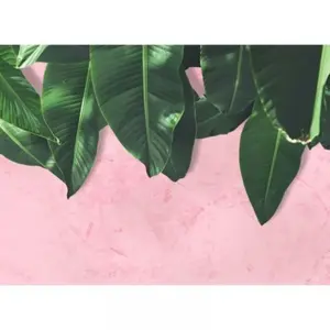 Architects Paper LEAVES WALL pas cher