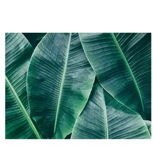 Architects Paper BANANA LEAVES pas cher