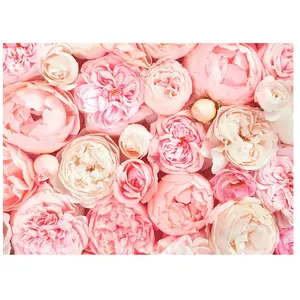 A.S. CREATIONS Architects Paper ROSES pas cher