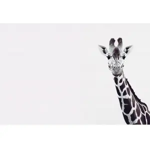 Architects Paper GIRAFFE POTRAIT pas cher