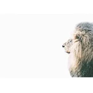 Architects Paper LION IN SNOW pas cher