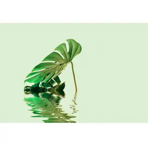 Architects Paper MONSTERA LEAF WATER 2 pas cher