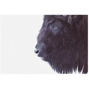 Architects Paper BLACK BUFFALO pas cher