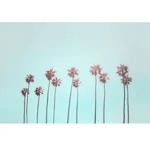 Architects Paper TROPICAL TREES pas cher