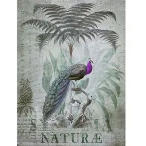 A.S. CREATIONS Architects Paper PEACOCK JUNGLEVendu pararchiproducts