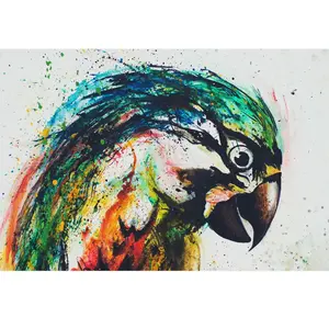 Architects Paper PARROT pas cher