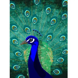 Architects Paper PEACOCKVendu pararchiproducts