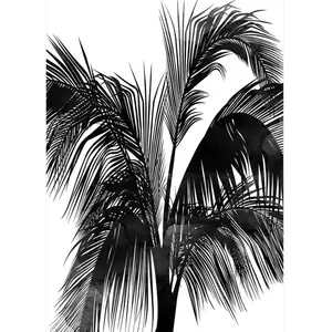 Architects Paper SUNSET BOULEVARDVendu pararchiproducts
