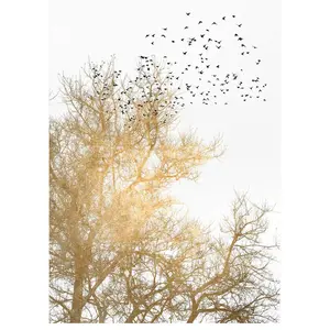 A.S. CREATIONS Architects Paper GOLDEN SKIES pas cher