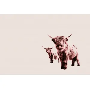 Architects Paper HIGHLAND COWS pas cher