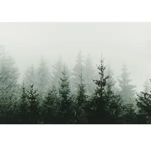 Architects Paper MOUNTAIN FOREST pas cher