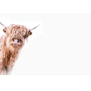 A.S. CREATIONS Architects Paper HIGHLAND CATTLE 2 pas cher