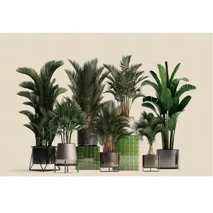 Architects Paper PLANT SHOP pas cher