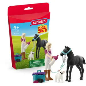 Schleich Mini Monde Sofia soigne son poulain pas cher