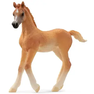 Comparateur de prix : Figurine Poulain Arabe / Horse club Schleich-13984