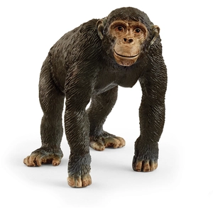 Schleich Chimpanz © de la vie sauvage pas cher