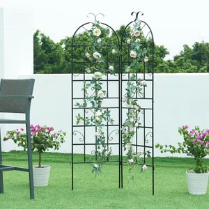 Comparateur de prix : CASA.PRO Treillis de jardin en set de 2 pièces Barrea acier 180 x 102 cm noir