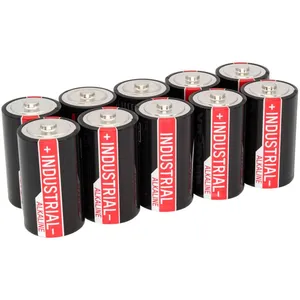 ANSMANN PILES LR20 D ALCALINES INDUSTRIAL 16000mAh x10 ANSMANN pas cher