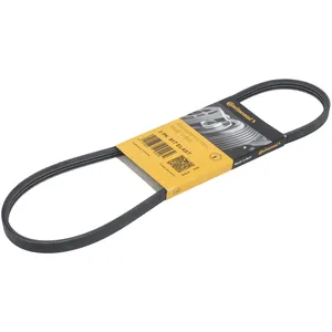 Contitech Courroie trapézoïdale à nervures CONTINENTAL 3 PK 817 ELAST pas cher