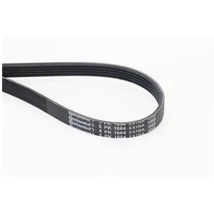 Courroie Poly V 5pk1664 Extra Contitech Contitech 5pk1664extra pas cher