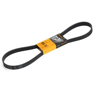 Continental Contitech 7PK1145 Courroie trapézoïdale à nervures