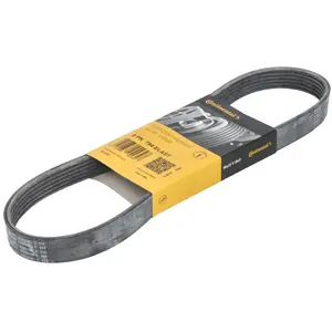 Courroie trapézoïdale à nervures 6PK794 ELAST Contitech 6PK794ELAST pas cher