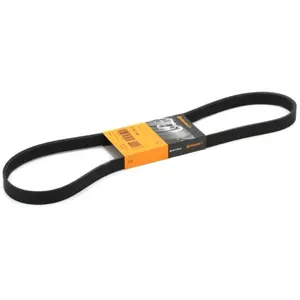 Continental Contitech 6PK1145 Courroie trapézoïdale à nervures pas cher