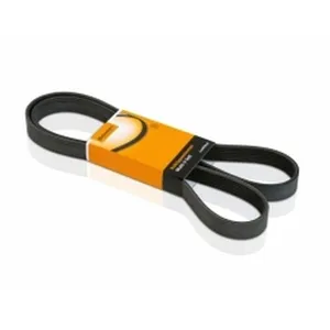 Continental Contitech 6PK1070 Courroie trapézoïdale à nervures pas cher