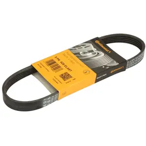 Continental Contitech 5PK628 ELAST Courroie trapézoïdale à nervures pas cher