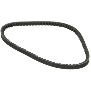 Courroie d'accessoires CONTITECH AVX13X1175 - Réf. 288AVX13X1175 pas cher