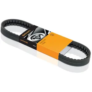 ContiTech Courroie trapézoïdale à nervures CONTINENTAL AVX13X1950 pas cher