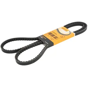 ContiTech Courroie trapézoïdale à nervures CONTINENTAL AVX13X1675 pas cher