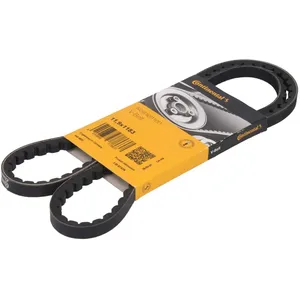 ContiTech 11,9X1183LD Courroie TRAPEZOIDALE pas cher