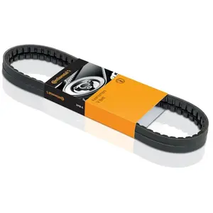 ContiTech Courroie trapézoïdale à nervures CONTINENTAL AVX10X1310 pas cher