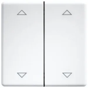Eltako - DW-FT55-rw+2P Interrupteur à bascule double X249192 pas cher