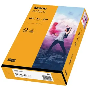 inapa Tecno Colors Lot de 250 feuilles de papier coloré 160 g/m² Orange Format A4 pas cher