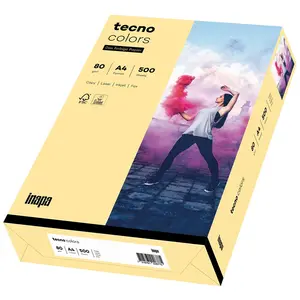 inapa Tecno Colors Lot de 500 feuilles de papier coloré Chamois 80 g/m² Format A4